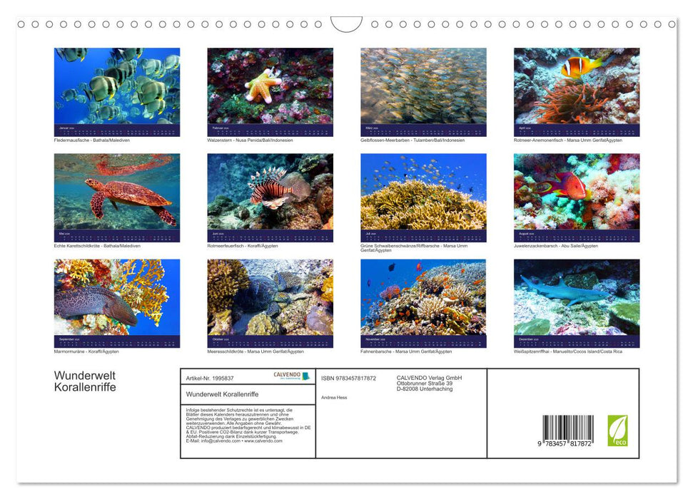 Wunderwelt Korallenriffe (CALVENDO Wandkalender 2026)