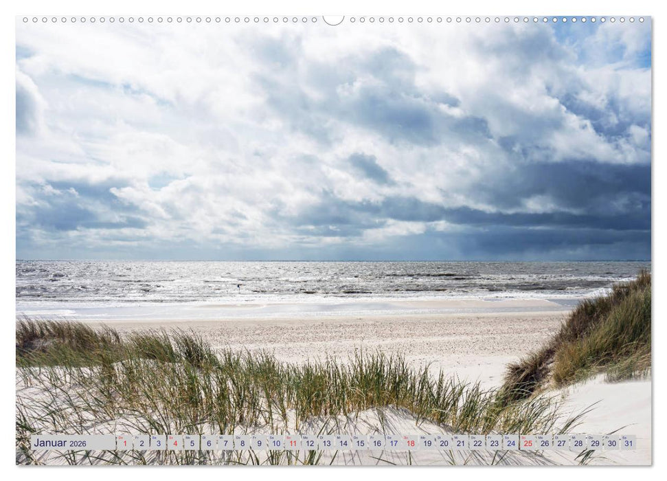 Blavand und die Westküste (CALVENDO Wandkalender 2026)