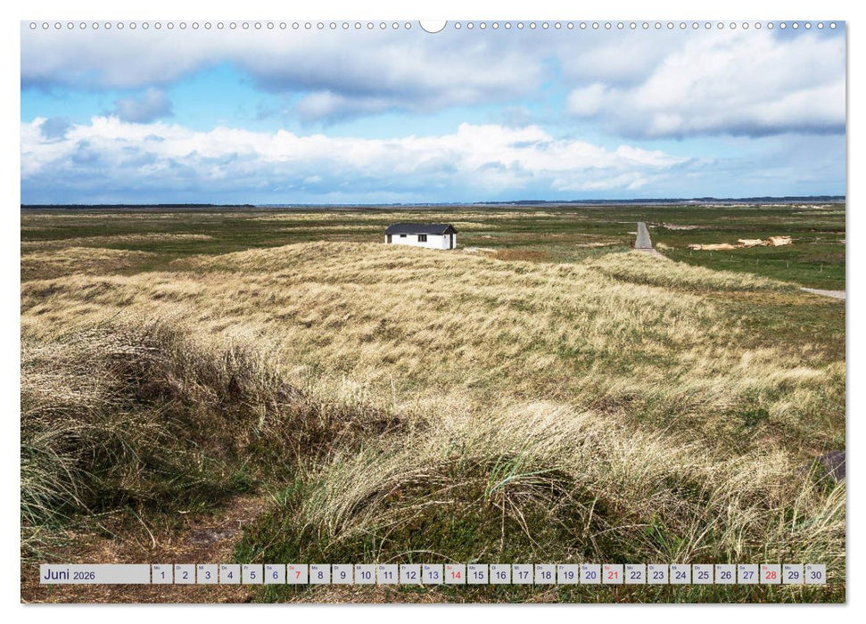 Blavand und die Westküste (CALVENDO Wandkalender 2026)