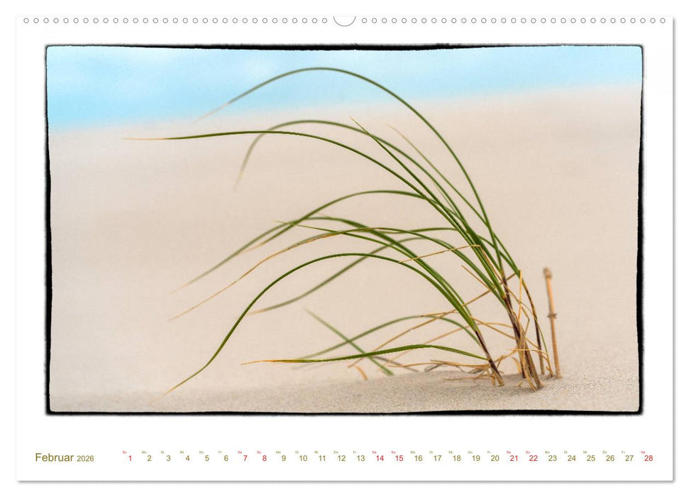 Amrum, inspirierende Landschaft (CALVENDO Wandkalender 2026)