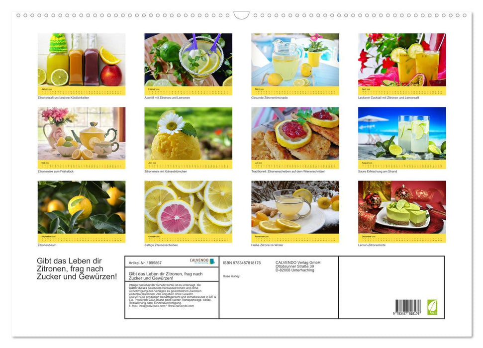 Gibt das Leben dir Zitronen, frag nach Zucker und Gewürzen! (CALVENDO Wandkalender 2026)