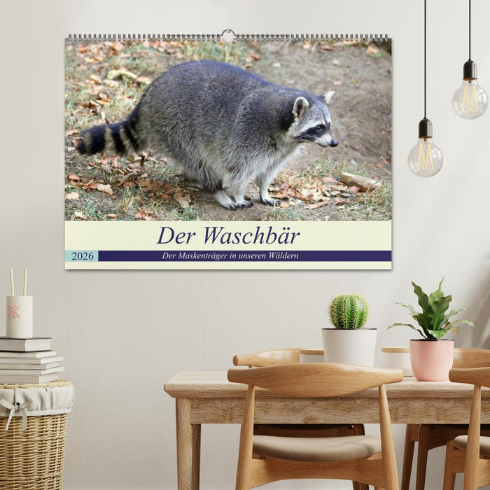 Der Waschbär - Der Maskenträger in unseren Wäldern (CALVENDO Wandkalender 2026)