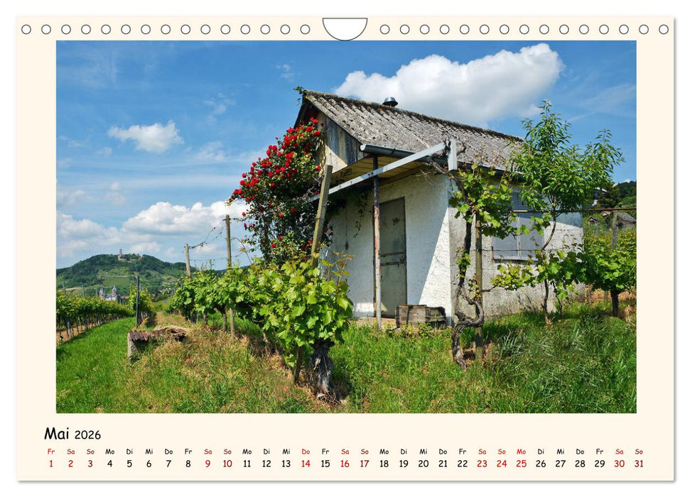 Weinlandschaft - Heppenheim an der Bergstraße (CALVENDO Wandkalender 2026)
