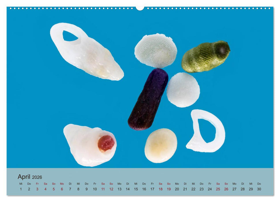 rosaroter korallensand (CALVENDO Wandkalender 2026)