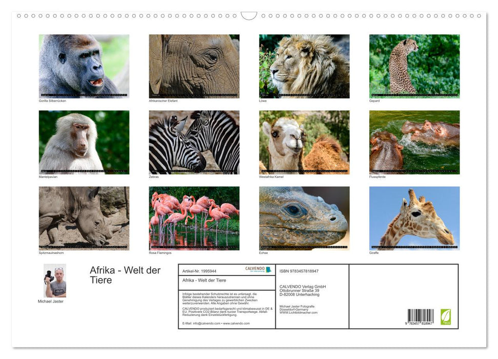 Afrika - Welt der Tiere (CALVENDO Wandkalender 2026)