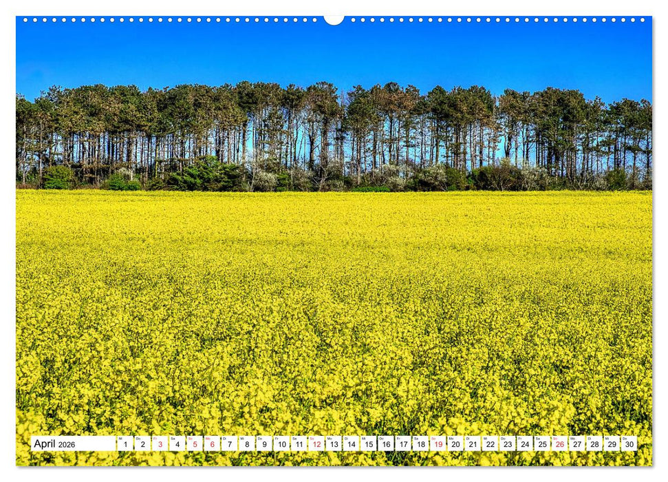 Norddeutsche Landschaften (CALVENDO Wandkalender 2026)