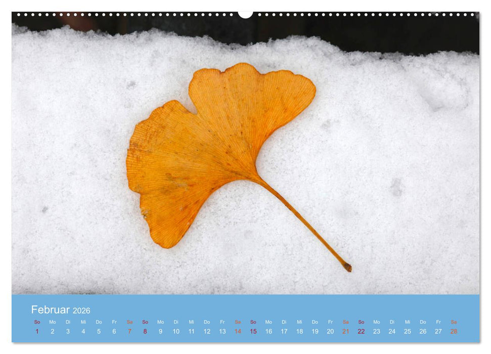 Geliebter Ginkgo (CALVENDO Wandkalender 2026)