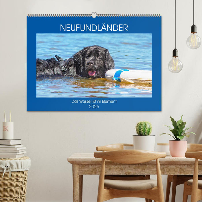 Neufundländer - Das Wasser ist ihr Element (CALVENDO Wandkalender 2026)