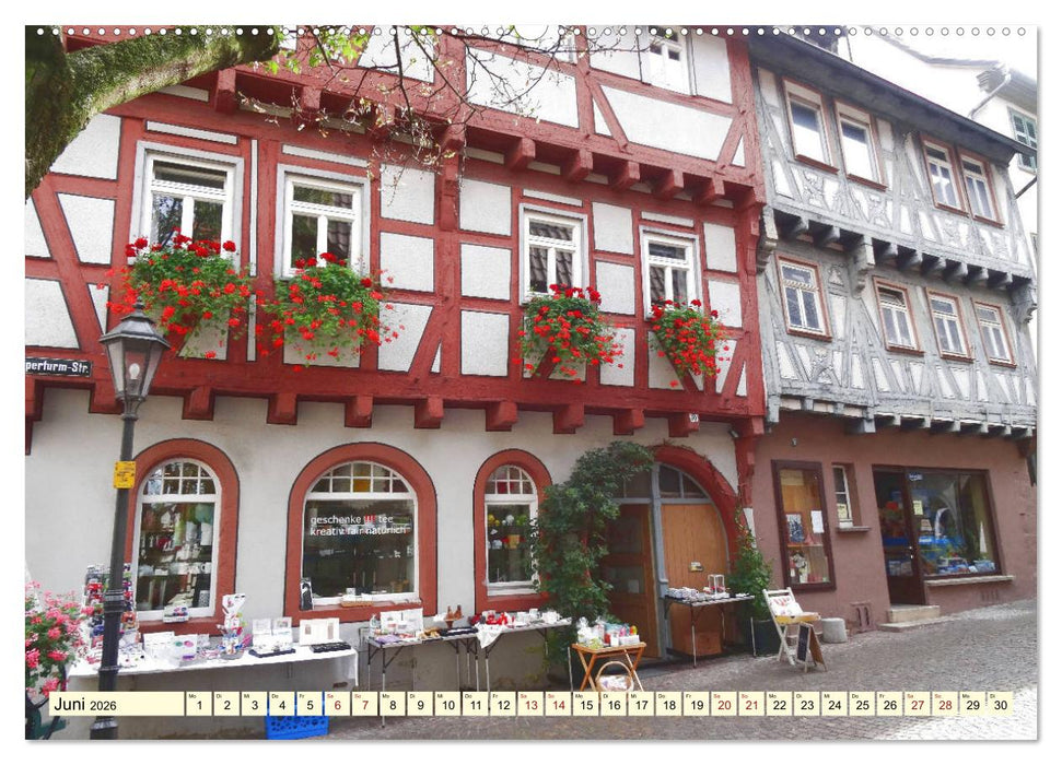 Unterwegs im Schwaben-Land (CALVENDO Wandkalender 2026)