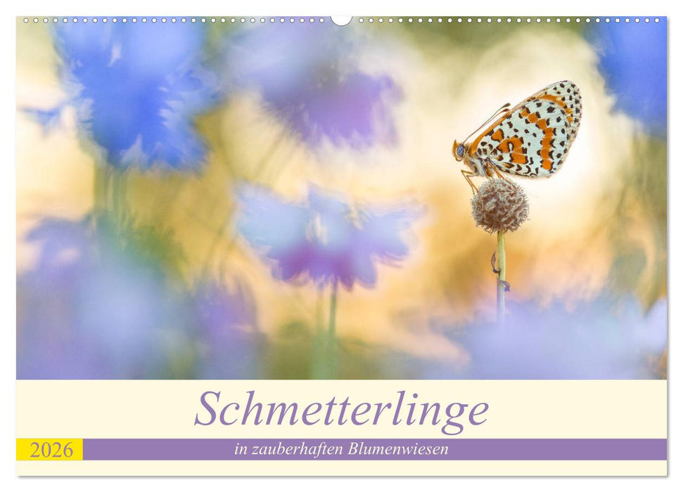Schmetterlinge in zauberhaften Blumenwiesen (CALVENDO Wandkalender 2026)