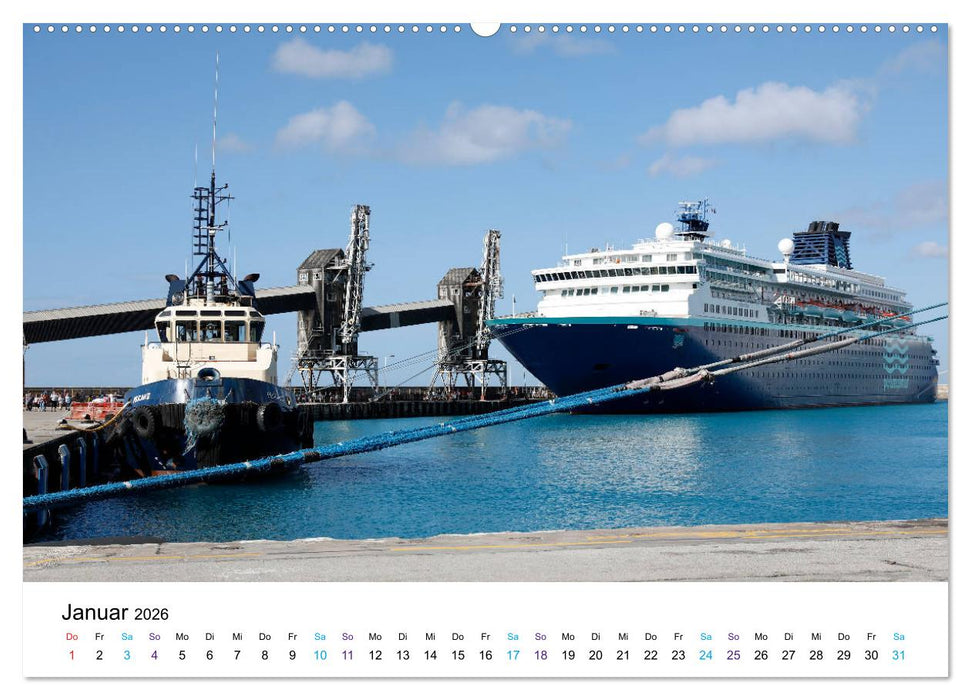 Riesen der Meere - Kreuzfahrtschiffe (CALVENDO Wandkalender 2026)