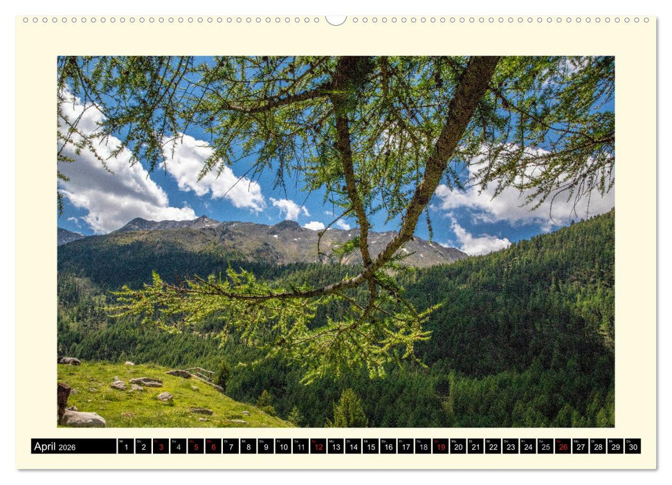 SÜDTIROL-Schnalstal (CALVENDO Wandkalender 2026)