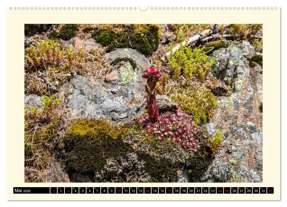 SÜDTIROL-Schnalstal (CALVENDO Wandkalender 2026)