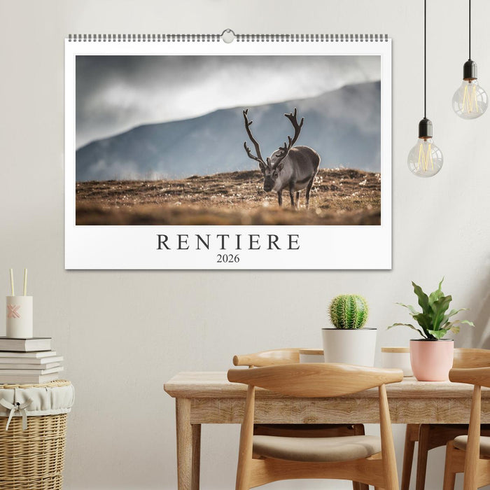Rentiere (CALVENDO Wandkalender 2026)