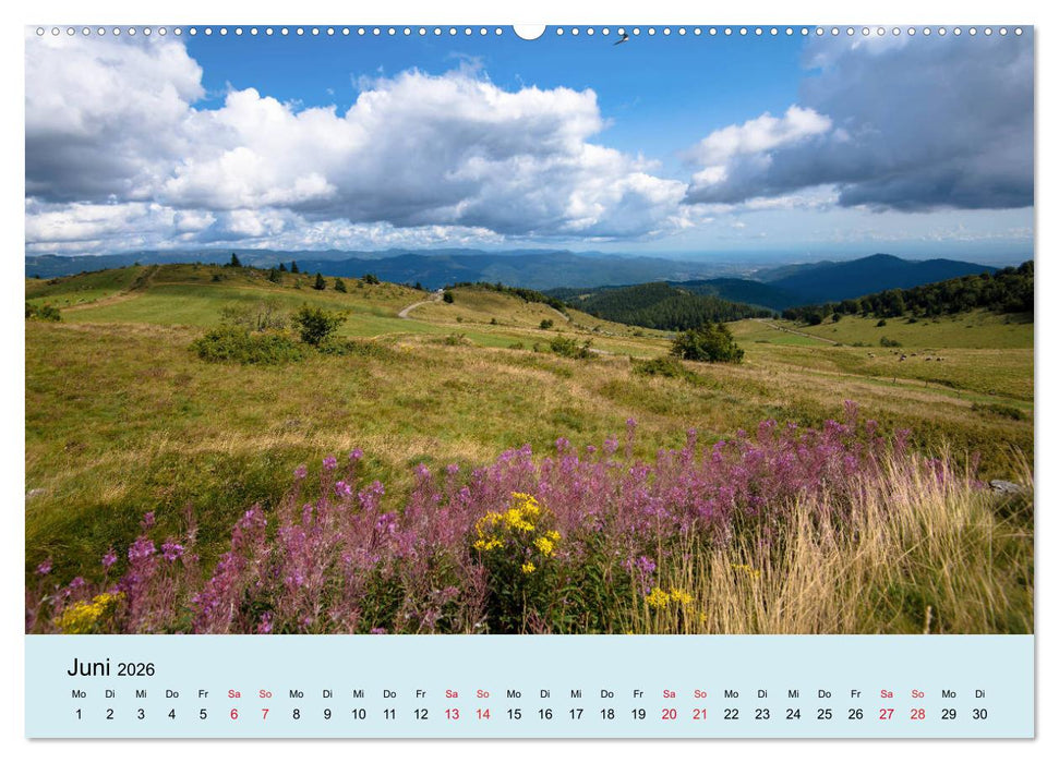 Elsass- und Vogesenträume (CALVENDO Wandkalender 2026)