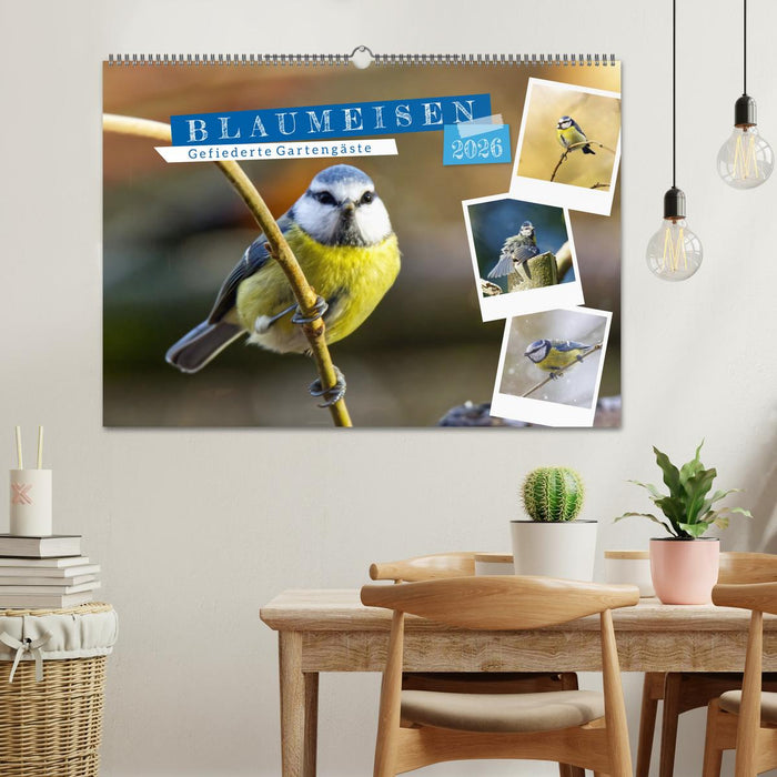 Gefiederte Gartengäste, Blaumeisen (CALVENDO Wandkalender 2026)
