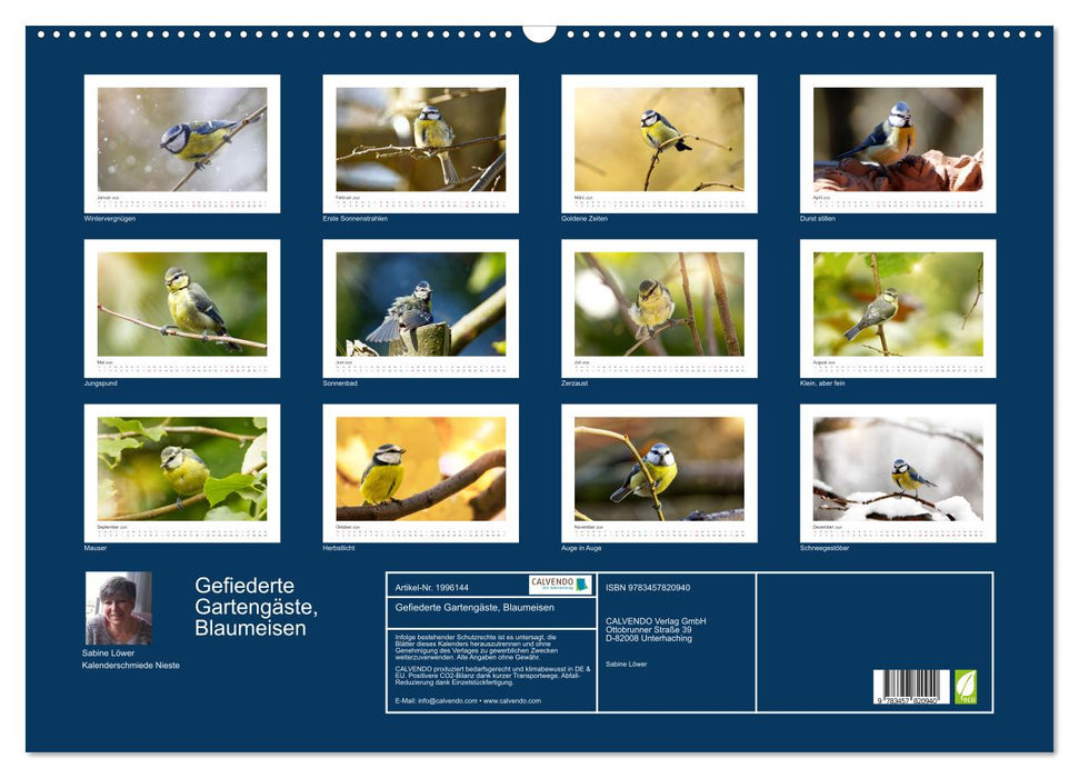 Gefiederte Gartengäste, Blaumeisen (CALVENDO Wandkalender 2026)