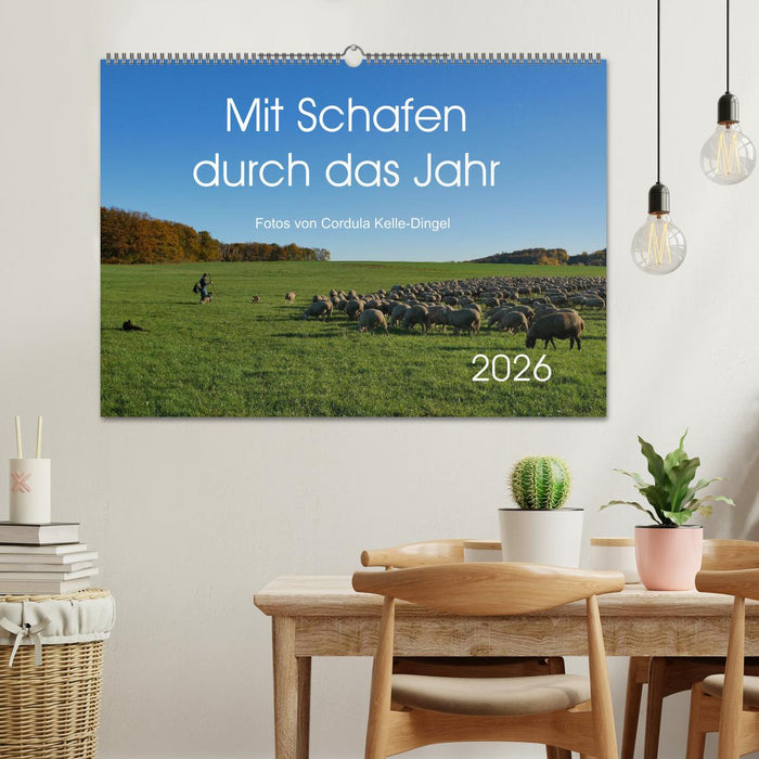Mit Schafen durch das Jahr (CALVENDO Wandkalender 2026)