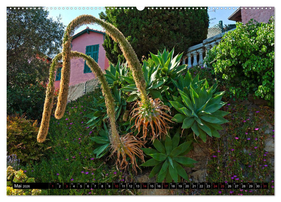Zauberhafte Riviera - Die Hanbury Gärten (CALVENDO Wandkalender 2026)