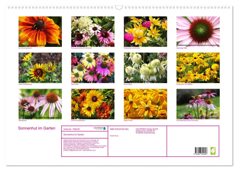 Sonnenhut im Garten (CALVENDO Wandkalender 2026)