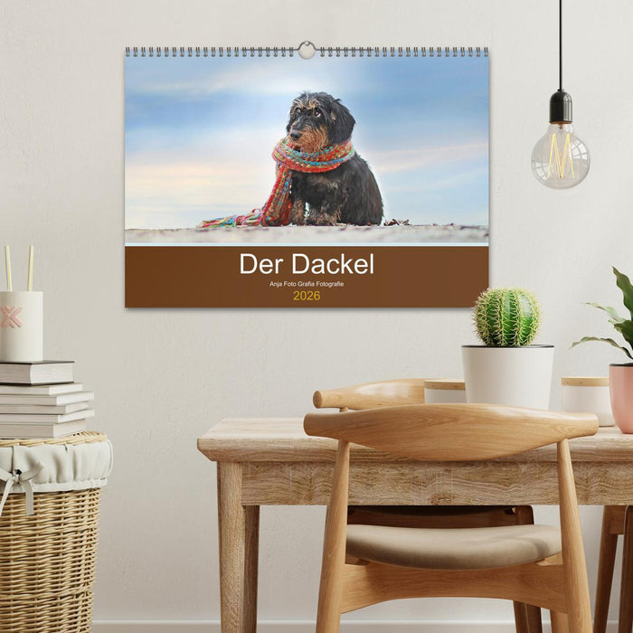 Der Dackel (CALVENDO Wandkalender 2026)
