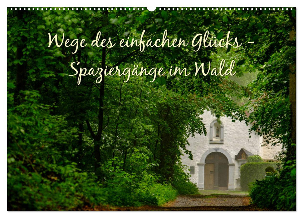 Wege des einfachen Glücks - Spaziergänge im Wald (CALVENDO Wandkalender 2026)