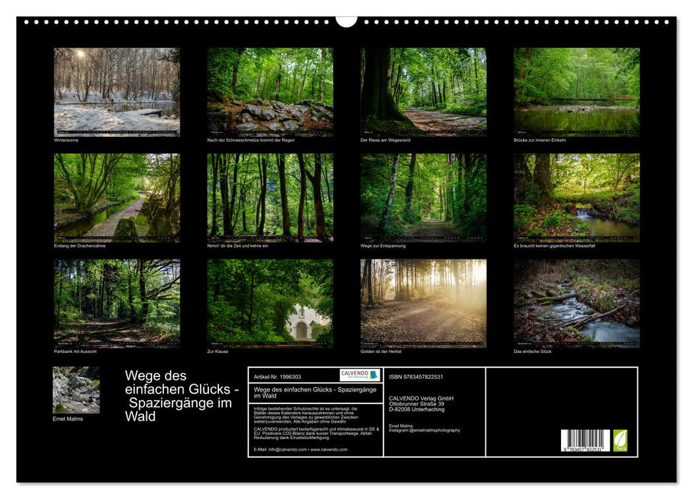 Wege des einfachen Glücks - Spaziergänge im Wald (CALVENDO Wandkalender 2026)