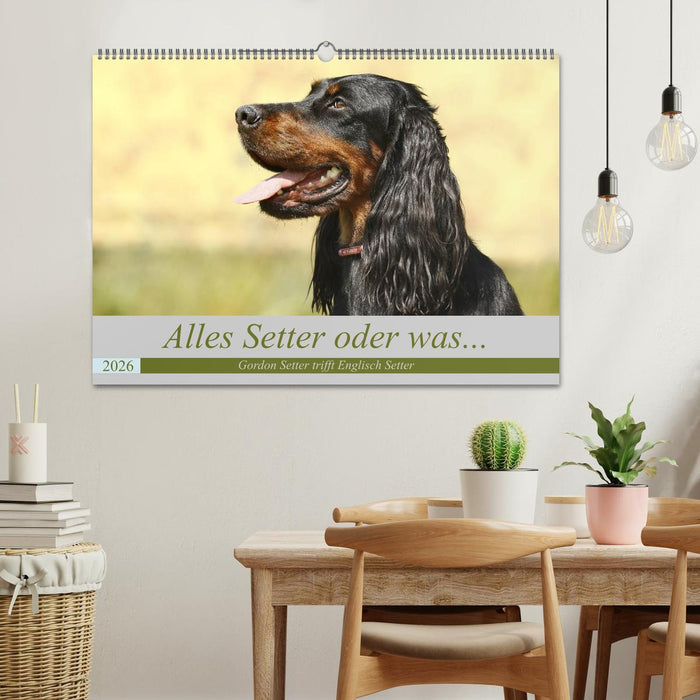 Alles Setter oder was (CALVENDO Wandkalender 2026)