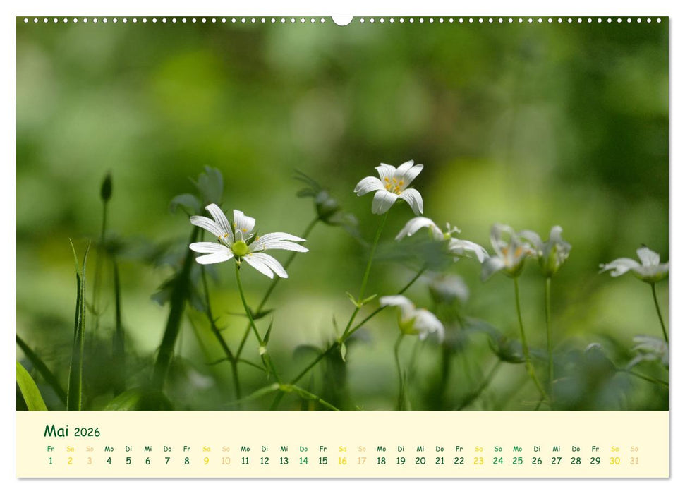 Naturwunder Blüten (CALVENDO Wandkalender 2026)