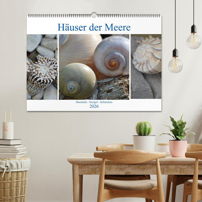 Häuser der Meere: Muscheln - Seeigel - Schnecken (CALVENDO Wandkalender 2026)