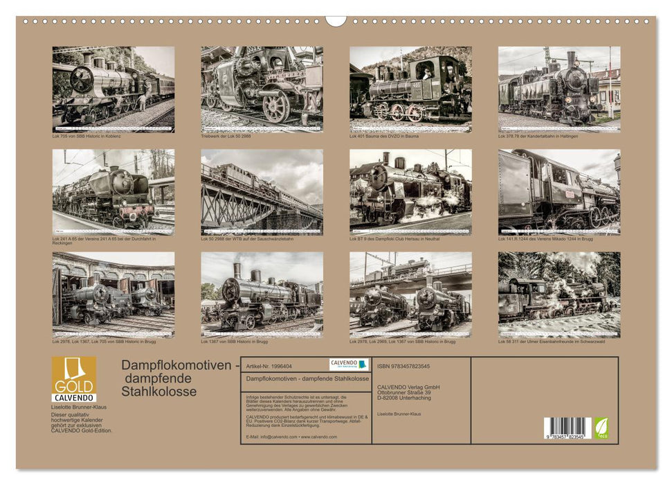 Dampflokomotiven - dampfende Stahlkolosse (CALVENDO Wandkalender 2026)