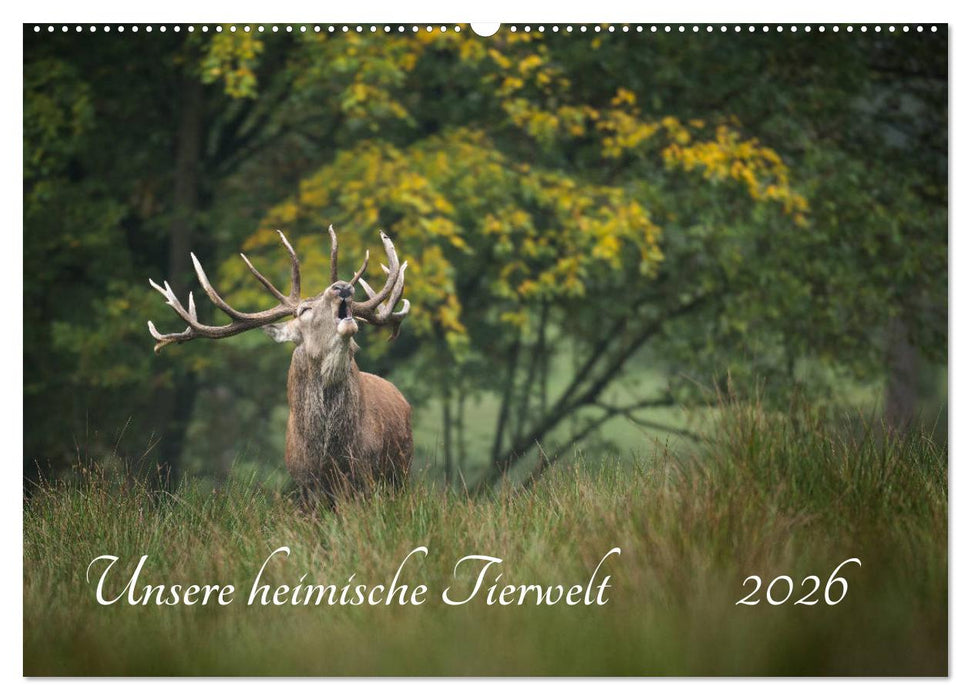 Unsere heimische Tierwelt (CALVENDO Wandkalender 2026)
