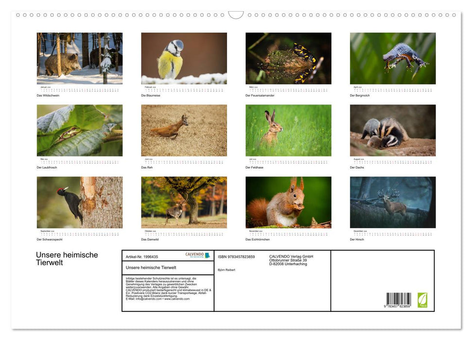 Unsere heimische Tierwelt (CALVENDO Wandkalender 2026)