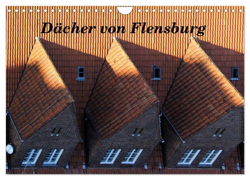 Dächer von Flensburg (CALVENDO Wandkalender 2026)