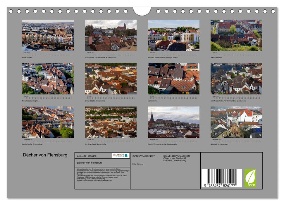 Dächer von Flensburg (CALVENDO Wandkalender 2026)