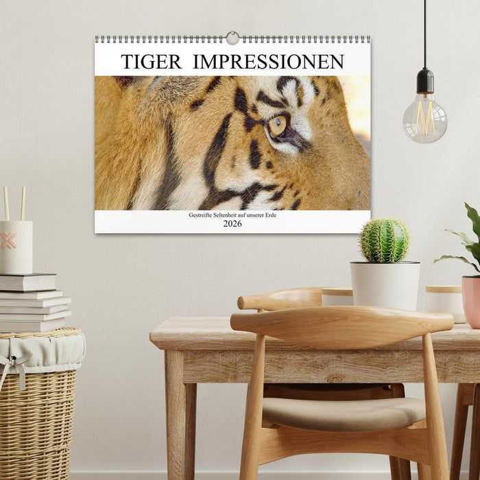 TIGER IMPRESSIONEN Gestreifte Seltenheit auf unserer Erde (CALVENDO Wandkalender 2026)