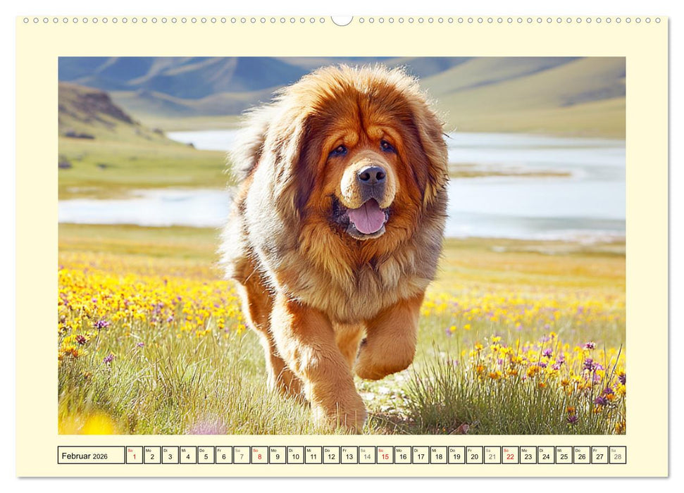 Tibet Mastiffs. Stolze Seelen im Wind der Berge (CALVENDO Wandkalender 2026)