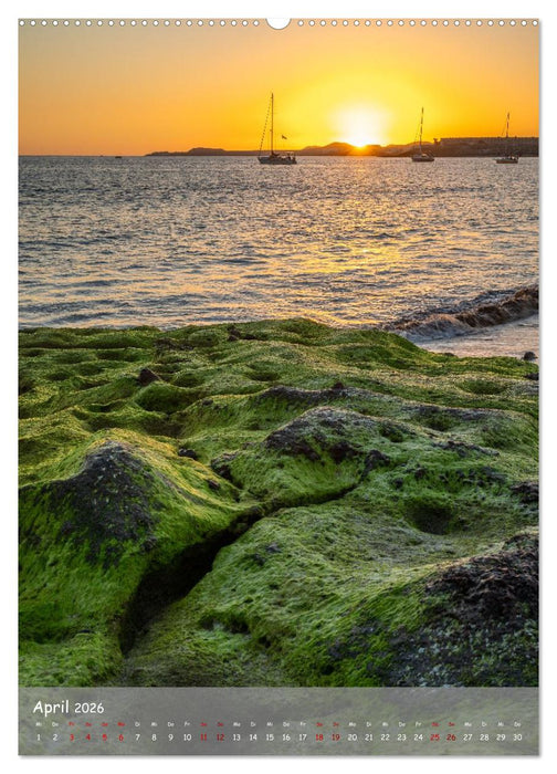 Teneriffa - Die Perle der Kanaren (CALVENDO Wandkalender 2026)