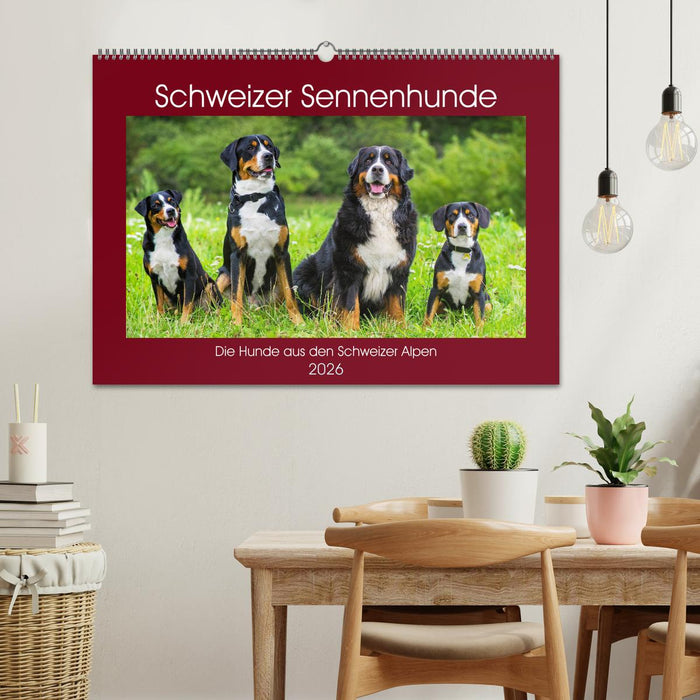 Schweizer Sennenhunde - die Hunde aus den Schweizer Alpen (CALVENDO Wandkalender 2026)