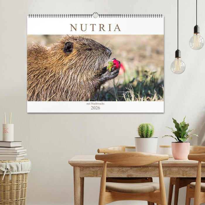 NUTRIA mit Nachwuchs (CALVENDO Wandkalender 2026)