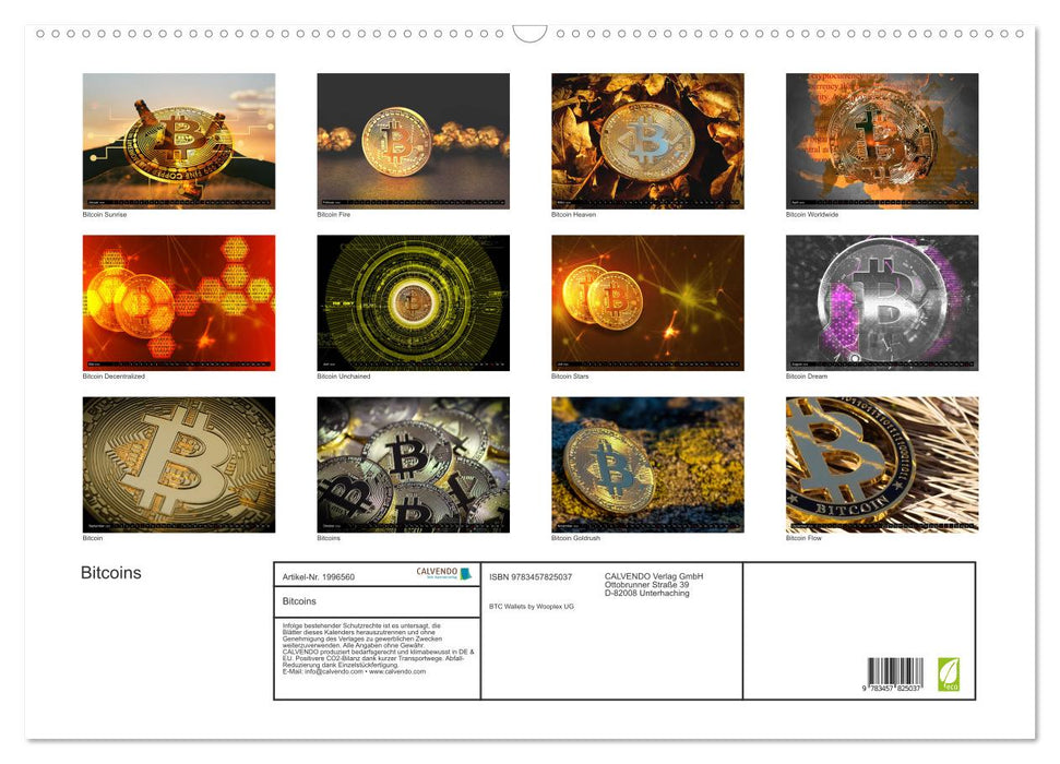 Bitcoins (CALVENDO Wandkalender 2026)