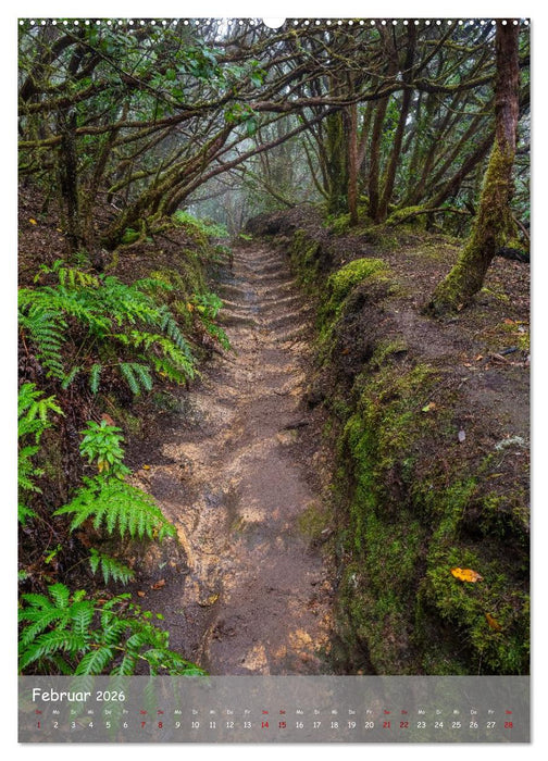 Teneriffa - Die Perle der Kanaren (CALVENDO Premium Wandkalender 2026)