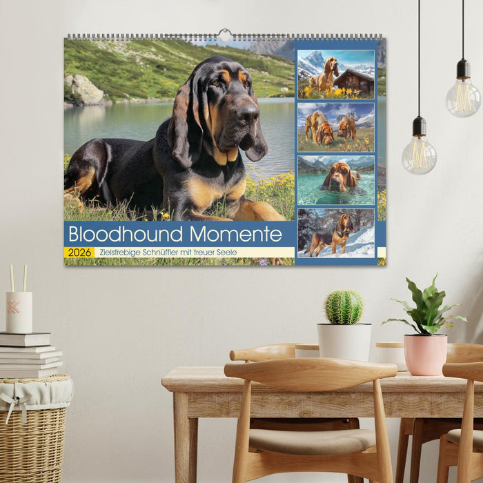 Bloodhound Momente. Zielstrebige Schnüffler mit treuer Seele (CALVENDO Wandkalender 2026)