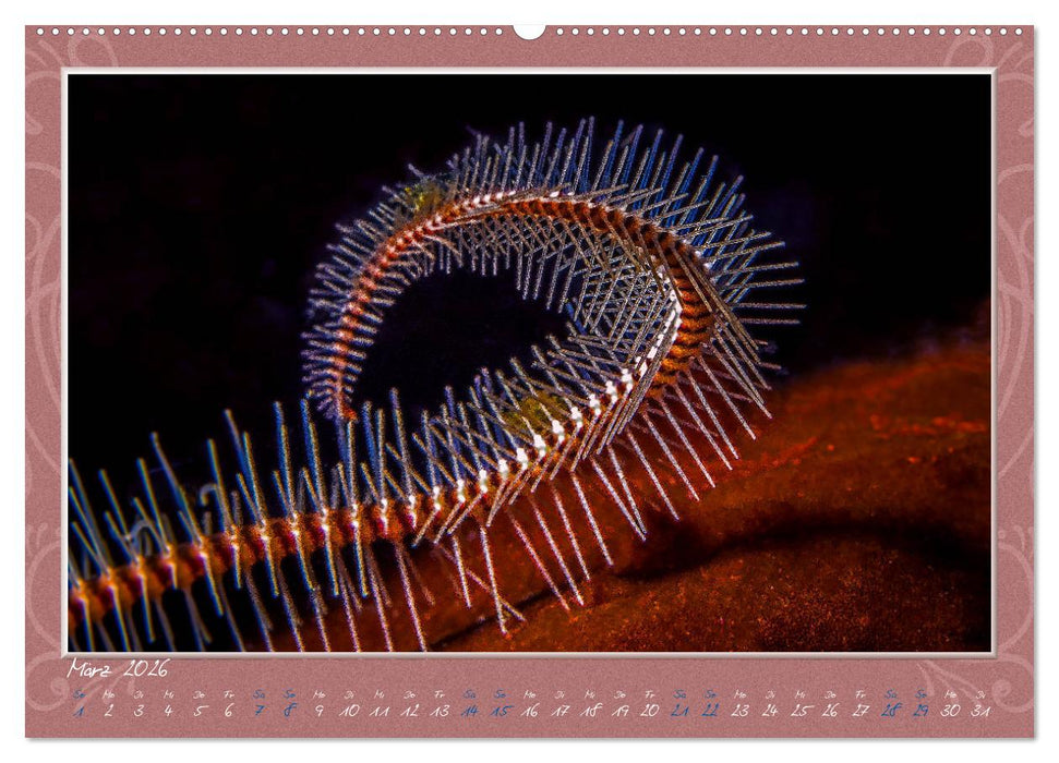 Unterwasser Kunstwerke (CALVENDO Wandkalender 2026)