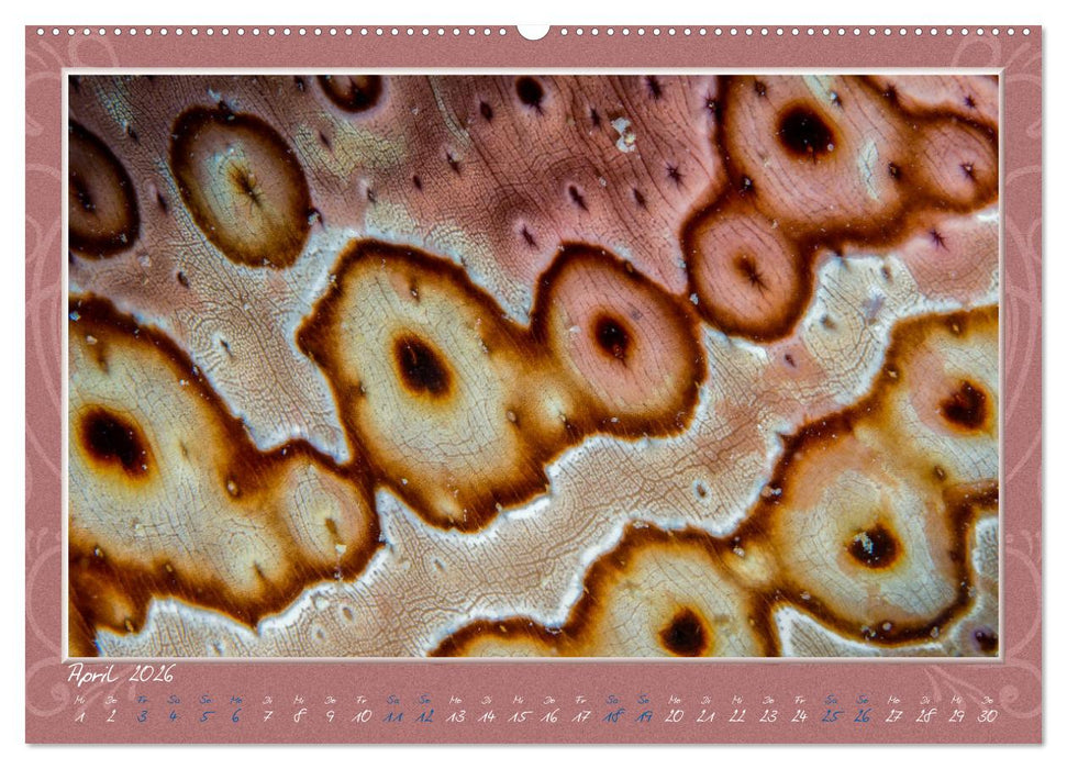 Unterwasser Kunstwerke (CALVENDO Wandkalender 2026)