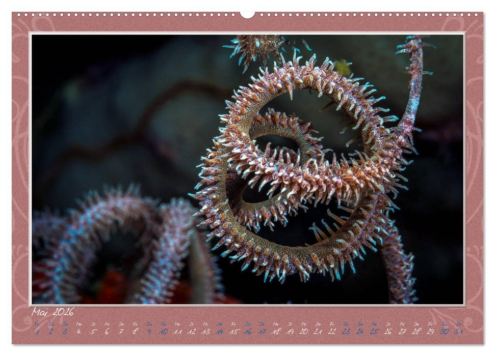 Unterwasser Kunstwerke (CALVENDO Wandkalender 2026)
