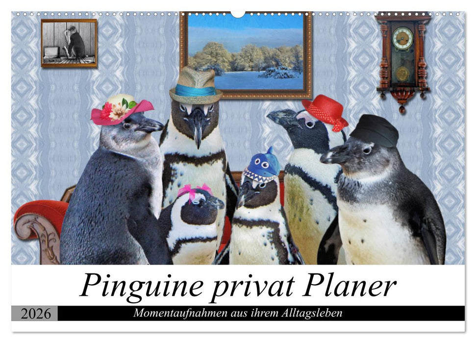 Pinguine privat Planer (CALVENDO Wandkalender 2026)