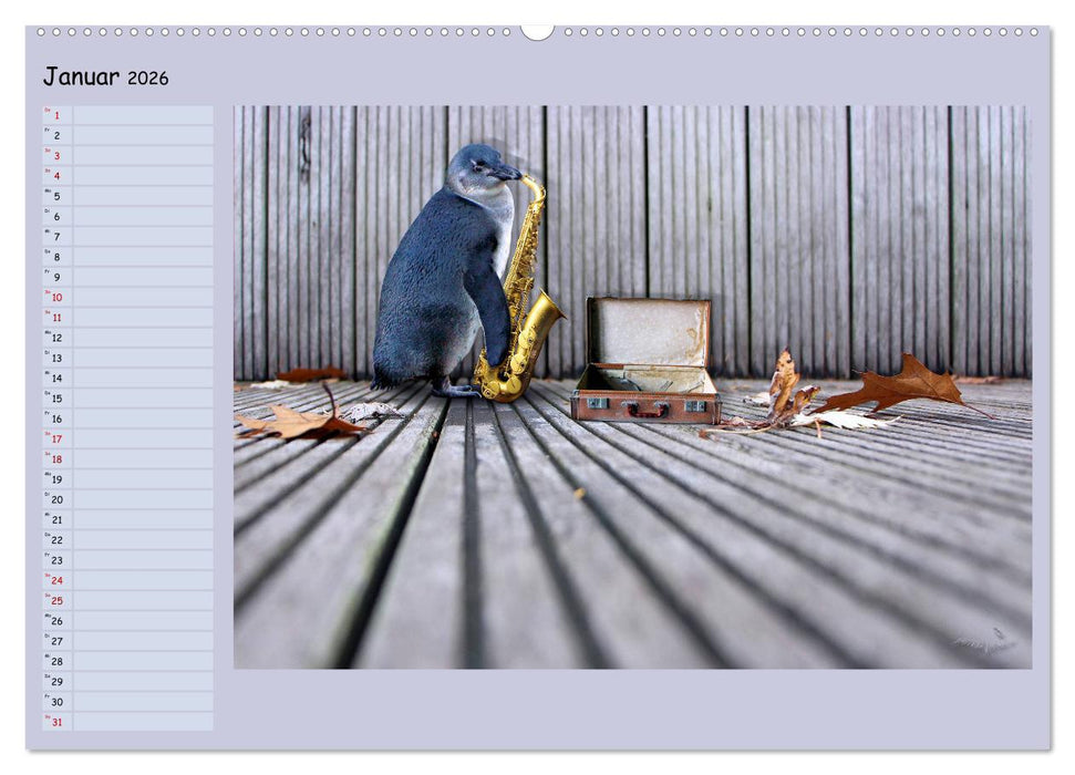 Pinguine privat Planer (CALVENDO Wandkalender 2026)