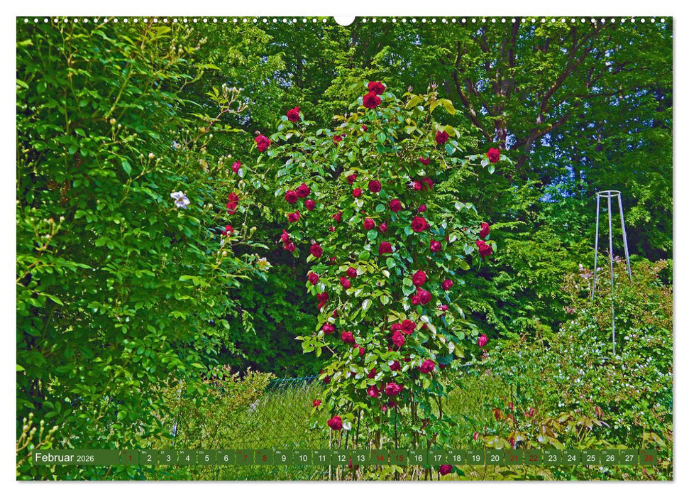 Rosengarten auf dem Beutig (CALVENDO Wandkalender 2026)