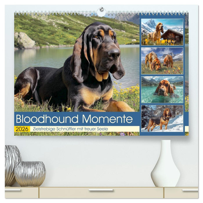 Bloodhound Momente. Zielstrebige Schnüffler mit treuer Seele (CALVENDO Premium Wandkalender 2026)